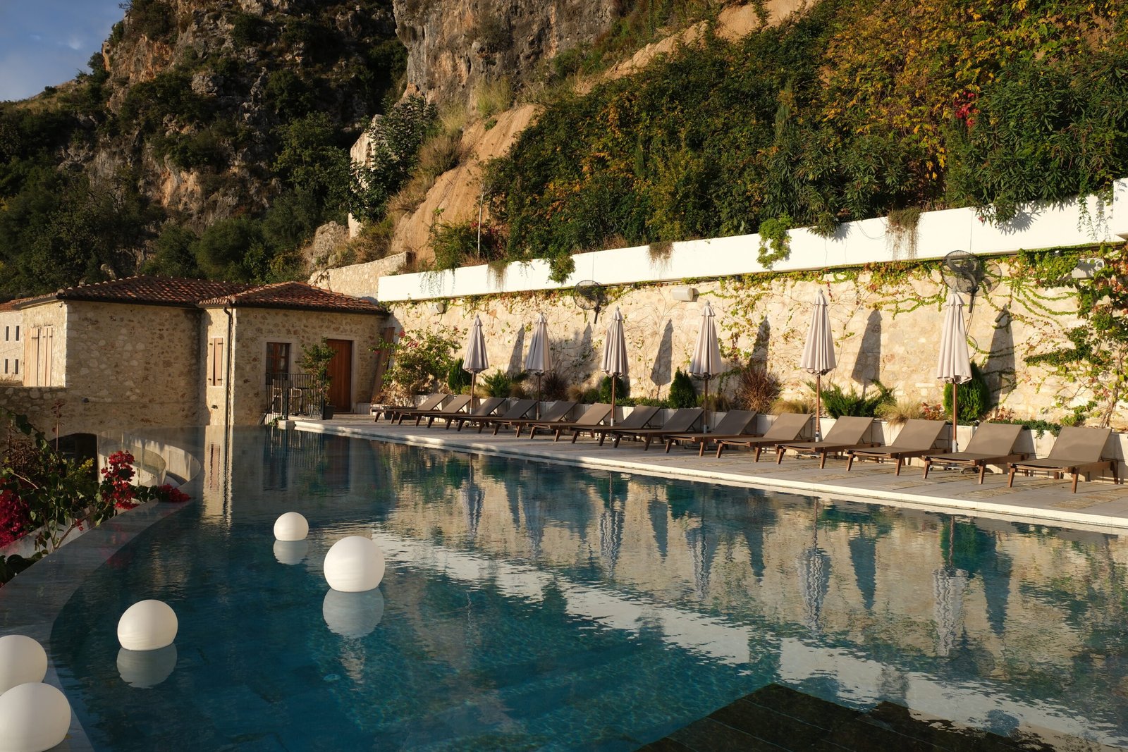 zoe hora wellness