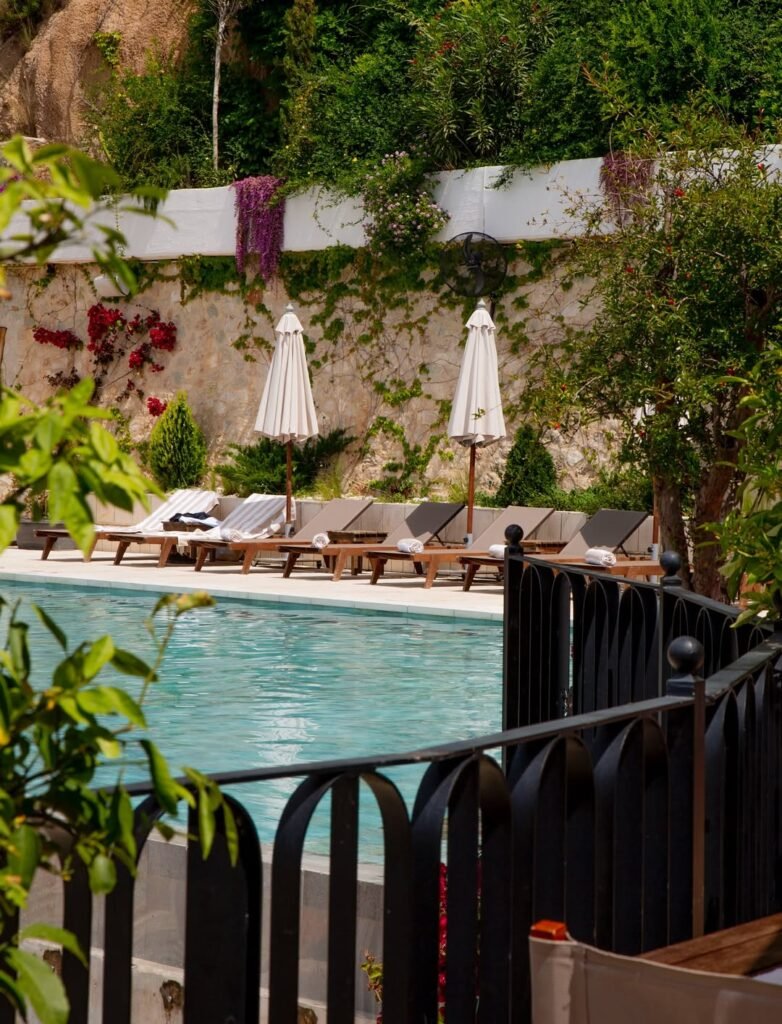 Infinity Pool Zoe Hora