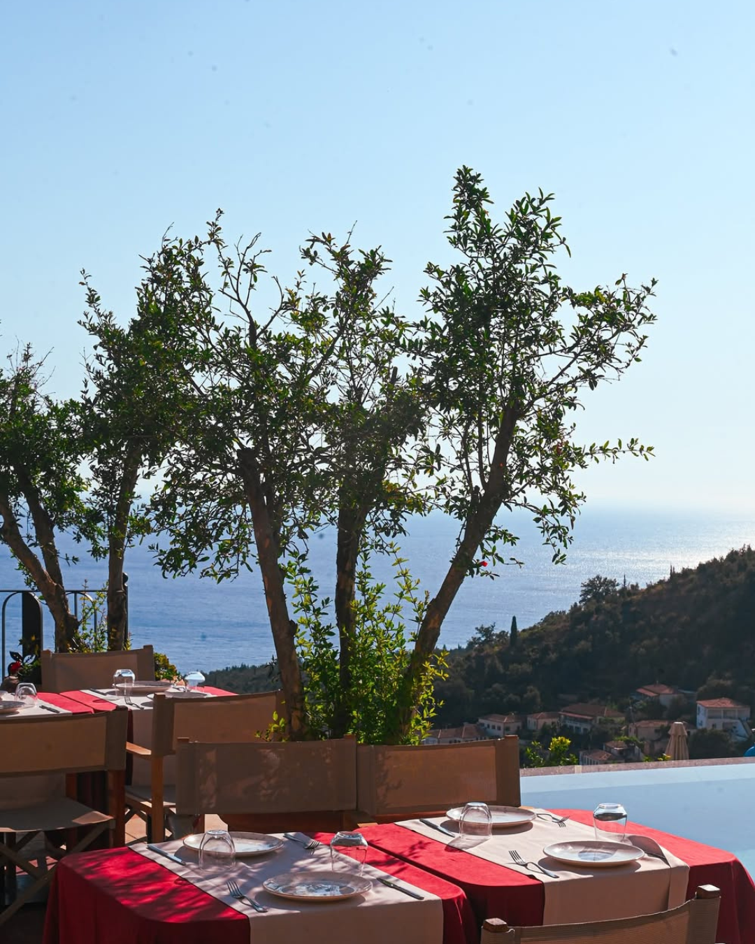 zoe hora restaurant